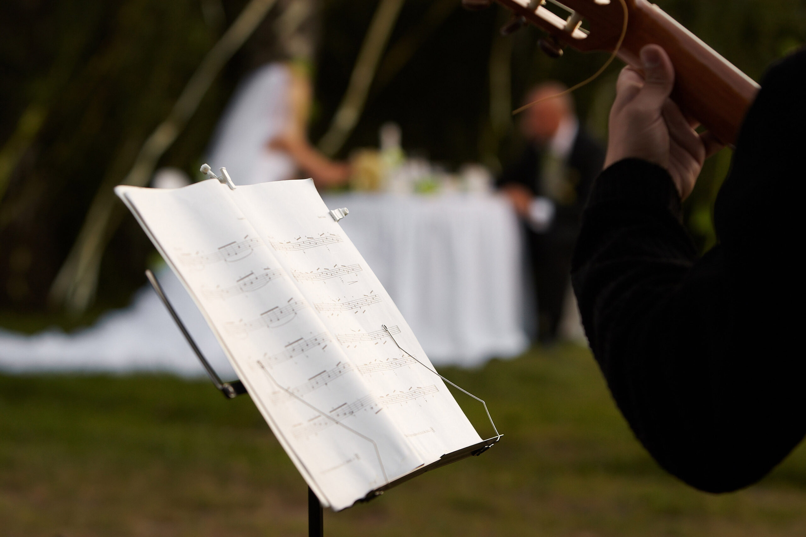 Wedding Ceremony Music Guide: Perfect Song Choices