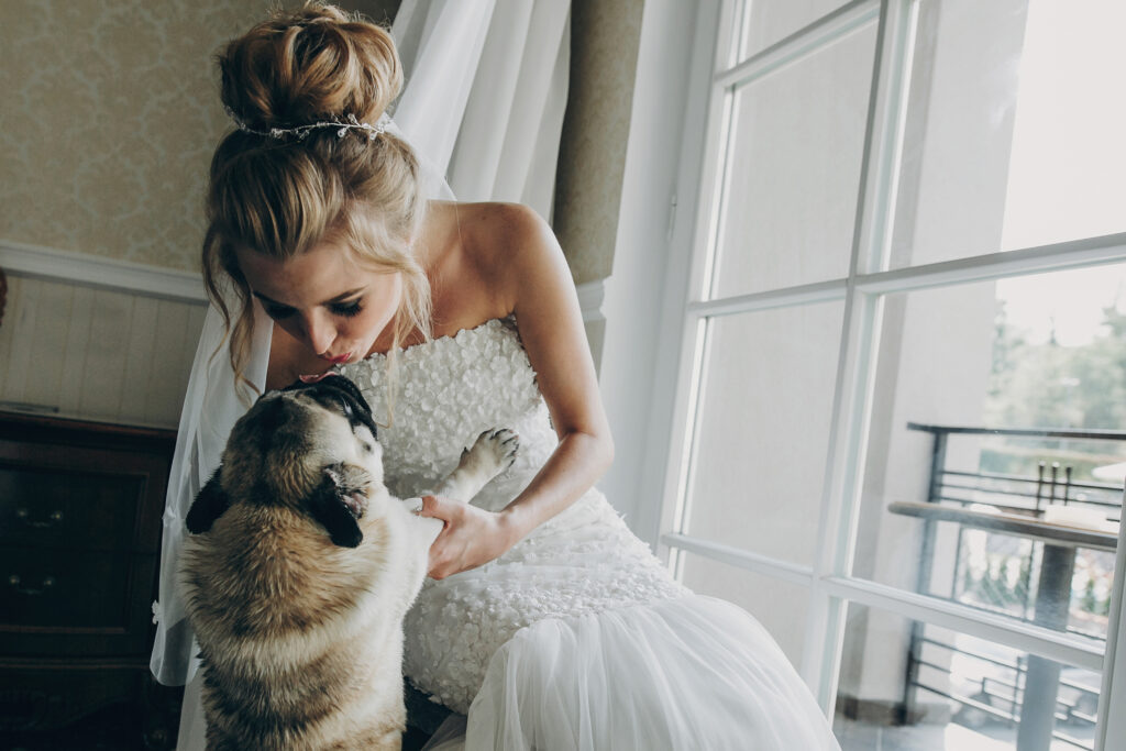 Include Your Pet in Your Wedding