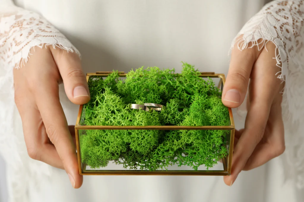 How to Keep Your Wedding Eco-friendly