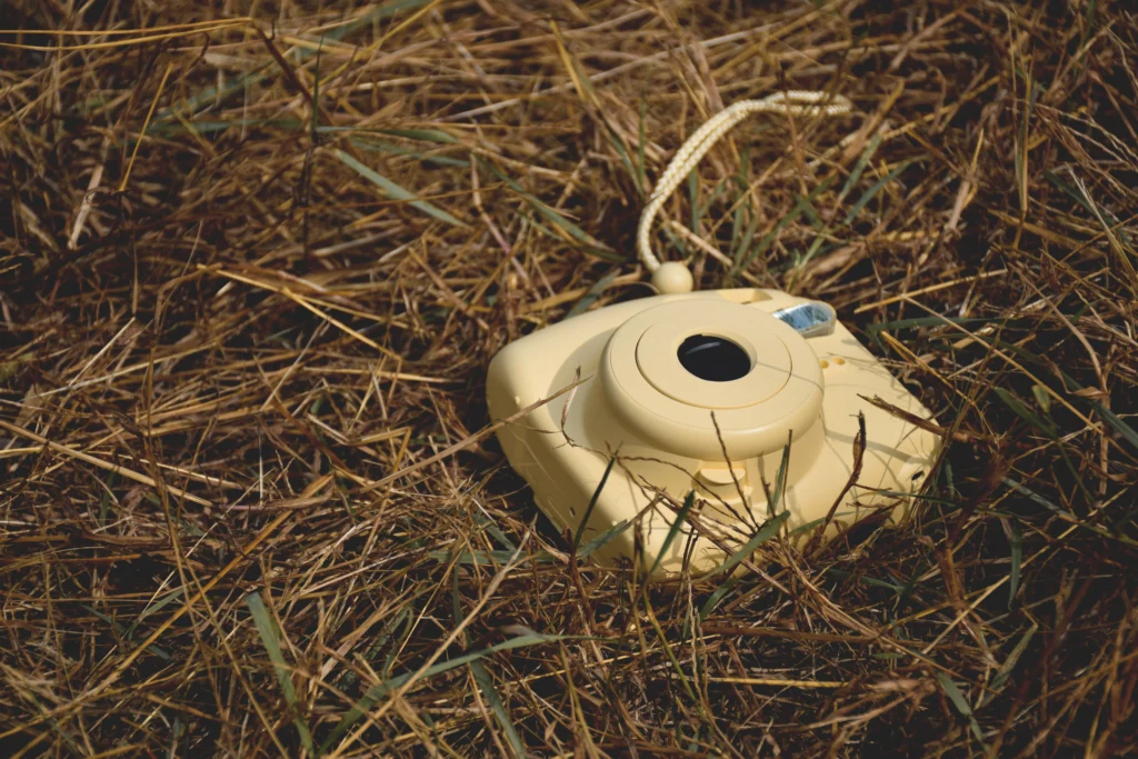 Consider Environmental and Budget Impacts